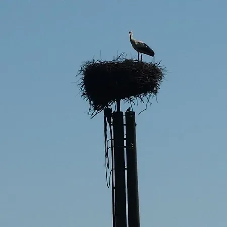 Seeblick Comfortable Ferienhaus