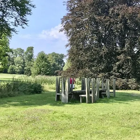 Seeblick Comfortable *