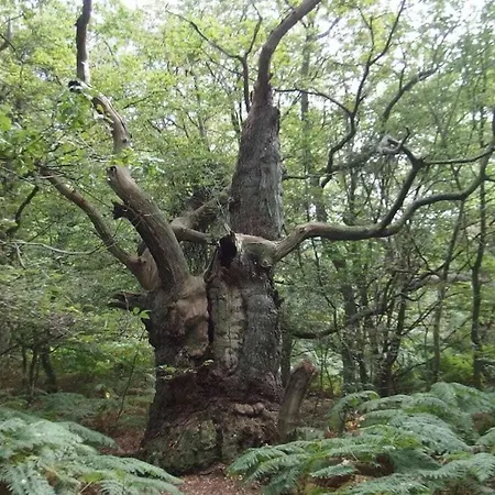 Ferienhaus Seeblick Comfortable
