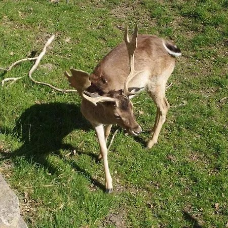 Seeblick Comfortable *