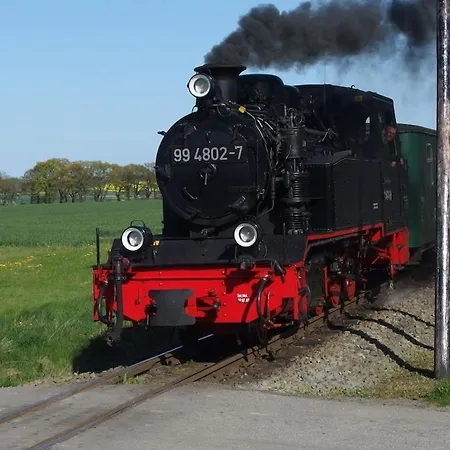 Seeblick Comfortable